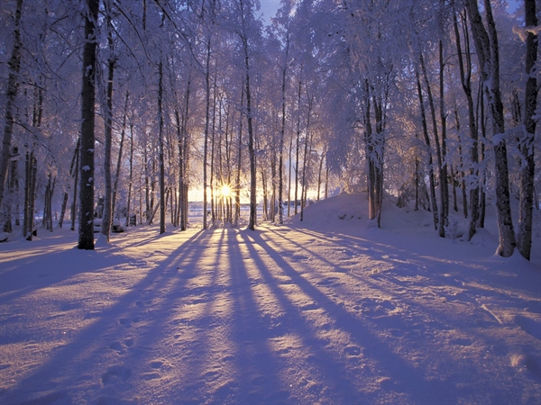 what is a winter solstice?