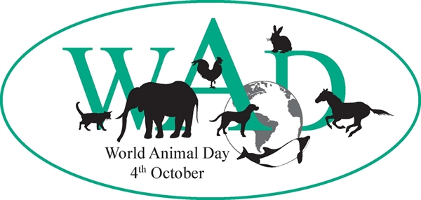 celebrate World Animal Day