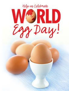 an egg a day...........?