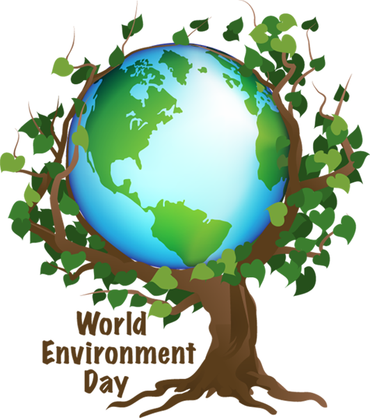 World Environment Day 2012: