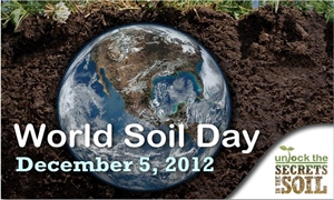World Soil Day - What in the world is wrong with my planting soil?