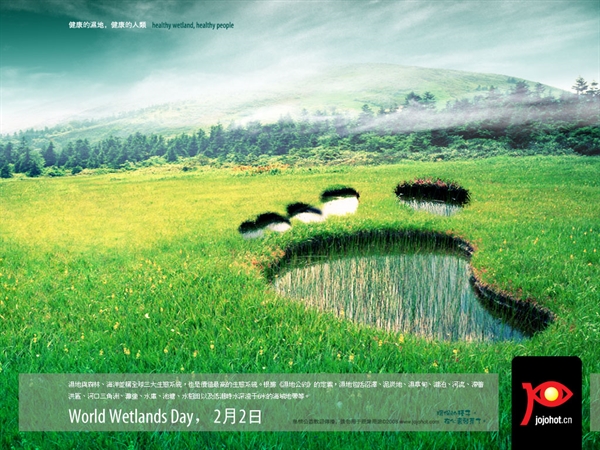2010 World Wetlands day