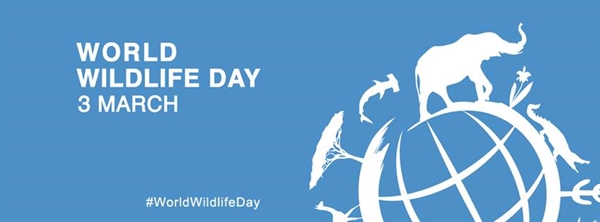 when s world wildlife day?