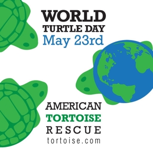 World Turtle Day - Does anyone know of a myth or lore that has to do with a turtle and a pregnant woman?