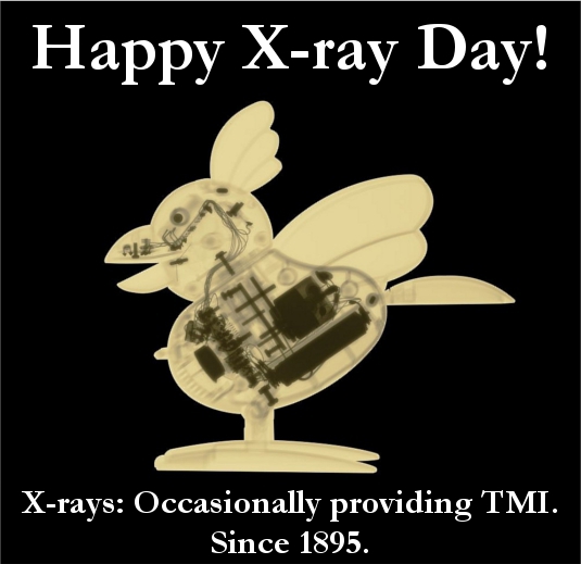 What is a typical day in the job of a x-ray technican?