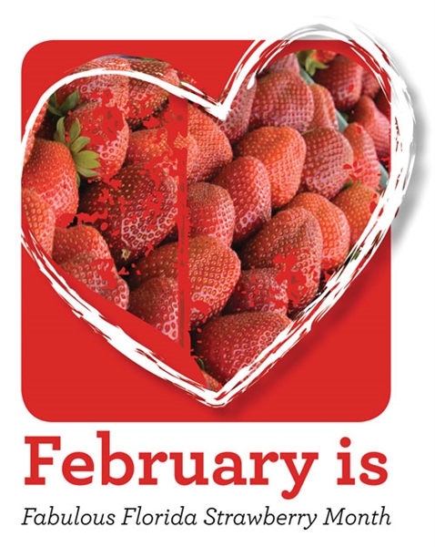 Strawberry lovers celebrate February as Fabulous Florida ...