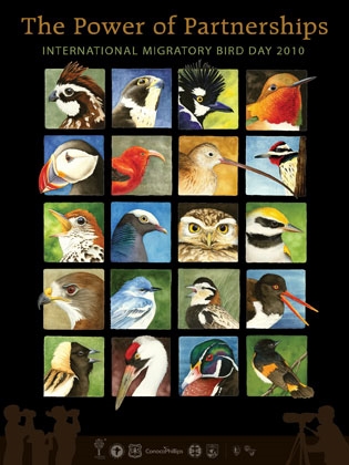 International Migratory Bird Day ’99?