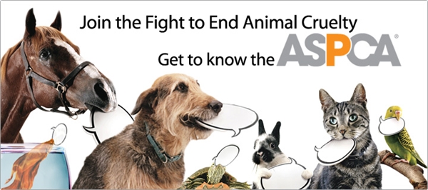 Donating to ASPCA animal rescue?