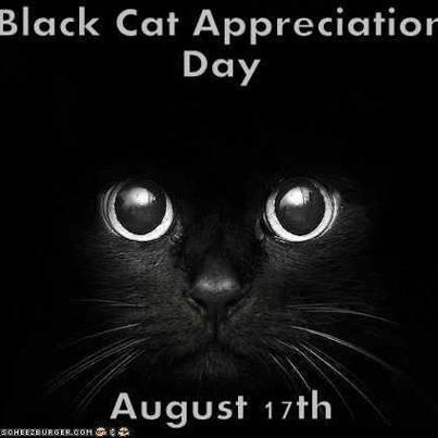 I declare today Pet Appreciation Day!?