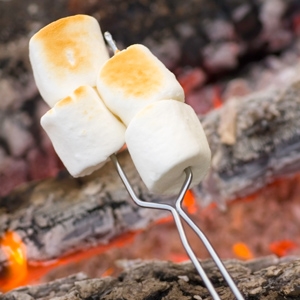 Did you know that tomorrow is also National Marshmallow Toasting Day?