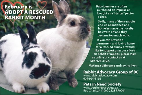 February is Adopt A Rescued Rabb