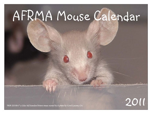 Small Animal Pet Organizations Unveil Their Fundraising Calendars ...