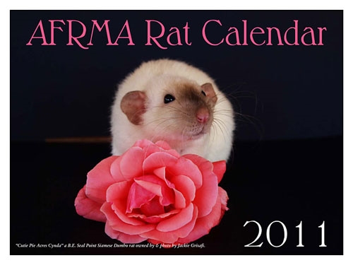 Small Animal Pet Organizations Unveil Their Fundraising Calendars ...