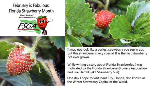 Dietitians Online Blog: February is Fabulous Florida Strawberry Month