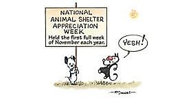 National Animal Shelter Appreciation Week - Just wanted to share with you all?