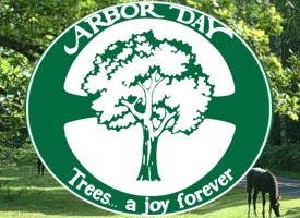 Have you ever heard of Arbor Day ?