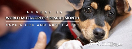 Join World Mutt-i-grees® Rescue Month and Celebrate Shelter Pets ...