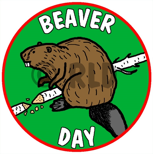 Do Canadians eat two beavers a day?