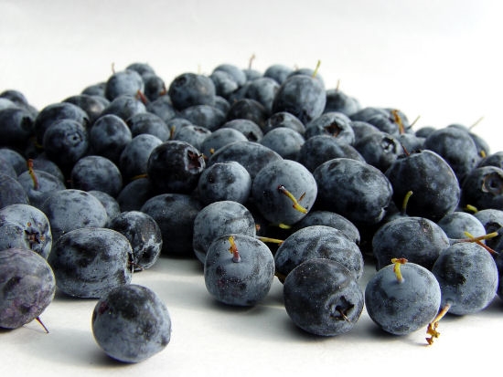 What is the month and date for Blueberry Day?