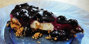 Blueberry Cheesecake Day - Need recipes I have 2 and a half cups of blueberries?