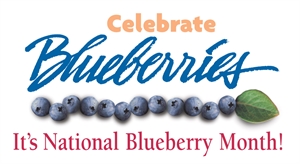 National Blueberries Month - funny national holidays?