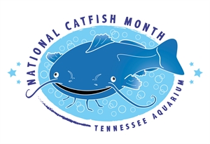 National Catfish Month - August is the ONLY calender month without a MAJOR holiday: Why has it never been claimed for any