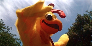 Chicken Dance Day - Is it true that today is National Chicken Dance Day?