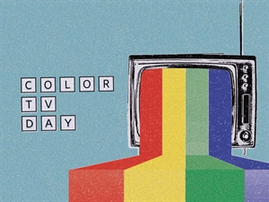 Color TV Day - What is the difference between white colour in TV and that of Day (the Sun light)?