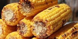 Corn On The Cob Day - Would you go to corn on the cob day?