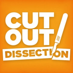 Cut Out Dissection Month - cat dissection toxoplasmosis?