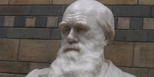 Darwin Day - Who's pumped for Darwin Day?