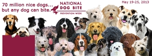 National Dog Bite Prevention Week - Self-defense against dogs?