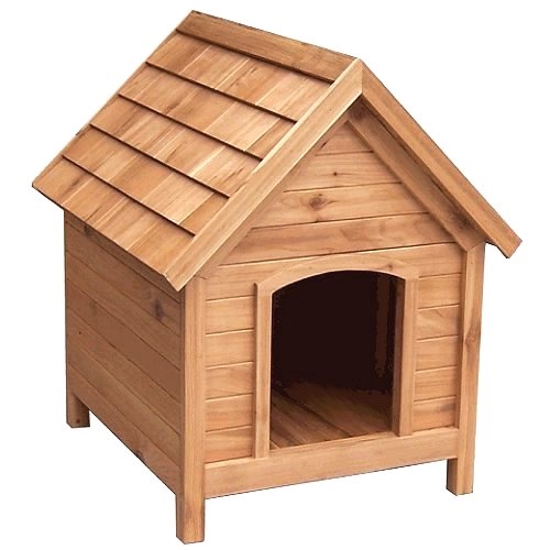 July Is National Dog House Repair Month