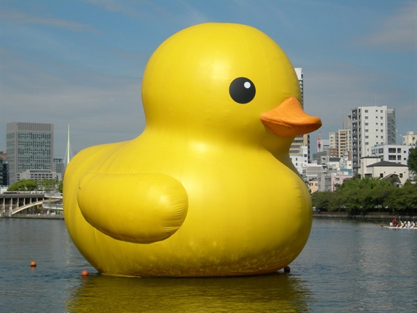 Does a rubber-duckie…?