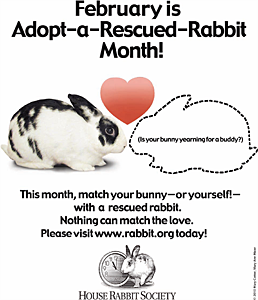 Is There a Bunny in Your Future? February is Adopt-A-Rescued ...