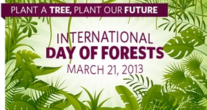 International Day of Forests and The Tree - Does anybody care? Today is international debt day.?
