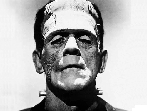 What happened to Frankenstein the day after he completed his creation?