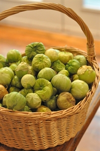 Tomatillo and Asian Pear Month - 12 lb tomatillos (about 7