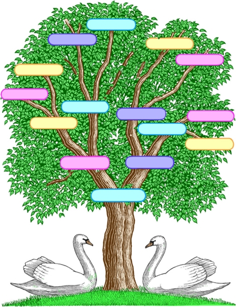 What can a modern day genealogy test actually decipher?
