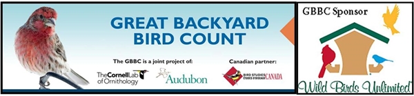 Anyone else planning on participating in the Great Backyard Bird Count?