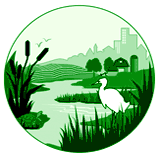 American Wetlands Month - What are 4 important roles that wetlands play in supporting ecosystems?