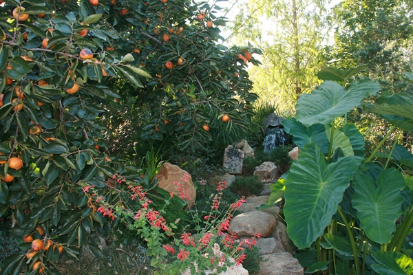 Tarheel Gardening.COM