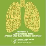 National COPD Month - November is the month for what cancer awareness?