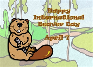 International Beaver Day - I am going to Bangor, Maine for 5 days, what can I do?