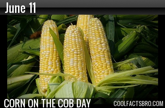 Would you go to corn on the cob day?