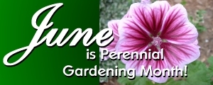 June is Perennial Gardening Month - Garden Plants?