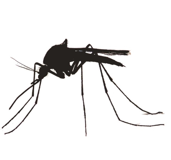 County Executive declares Mosquito Control Awareness Week - News ...
