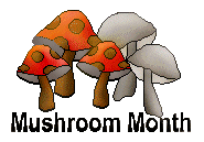 did you know it is national mushroom month?