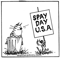 National Spay/Neuter day?