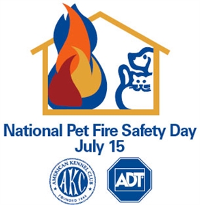 National Pet Fire Safety Day - weekly topics for daycare?
